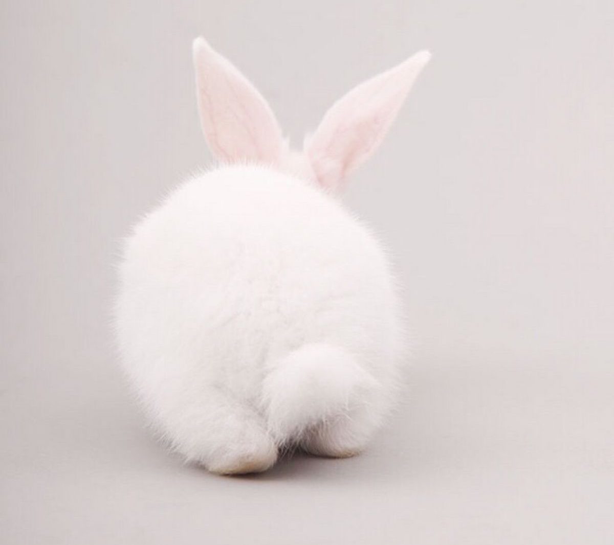 Luieruitslag Oermoeders Van Nu